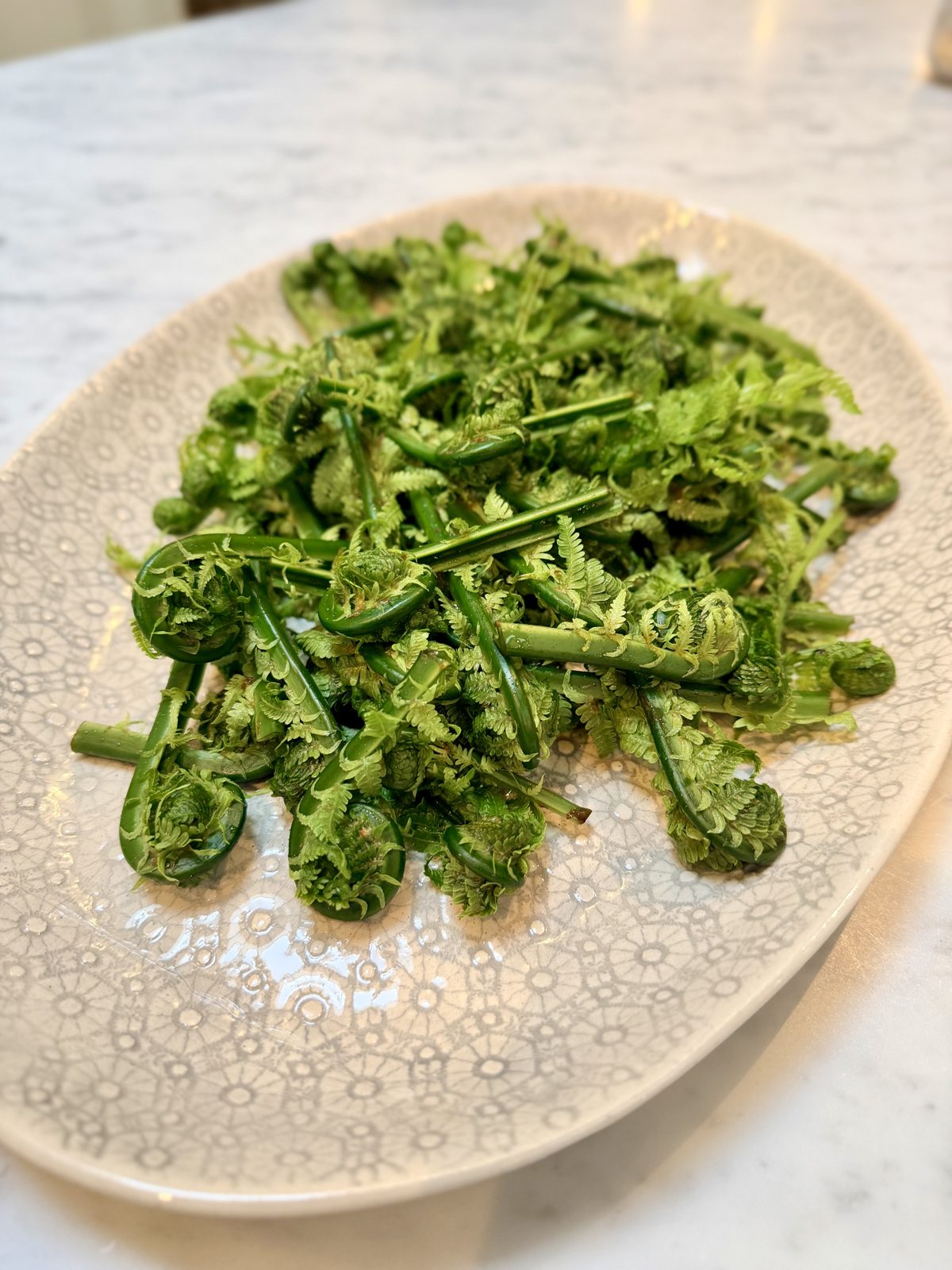 A plate of green fern fiddleheads, tightly curled
