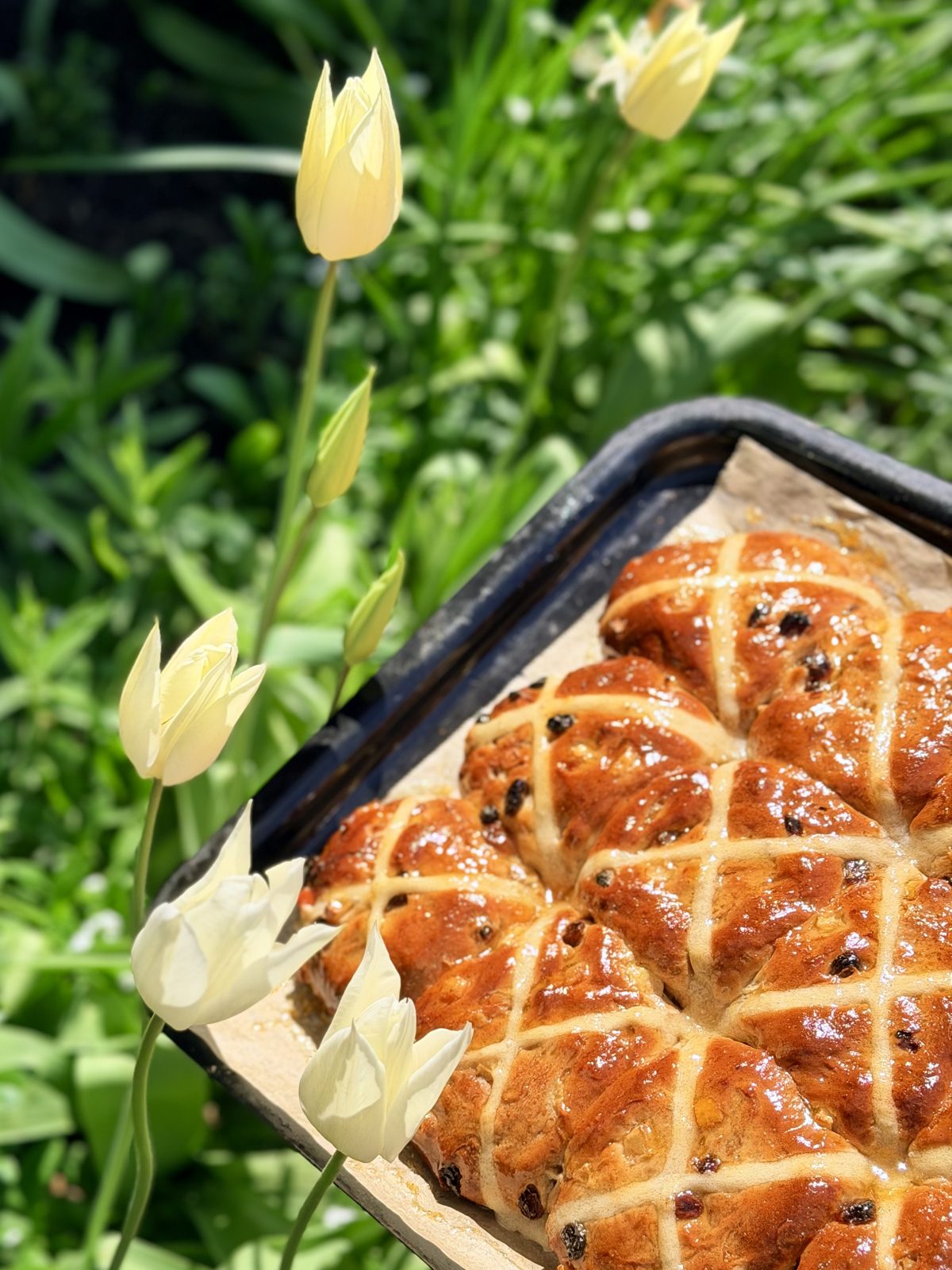 A tray of glazed hot cross buns among spring flowers