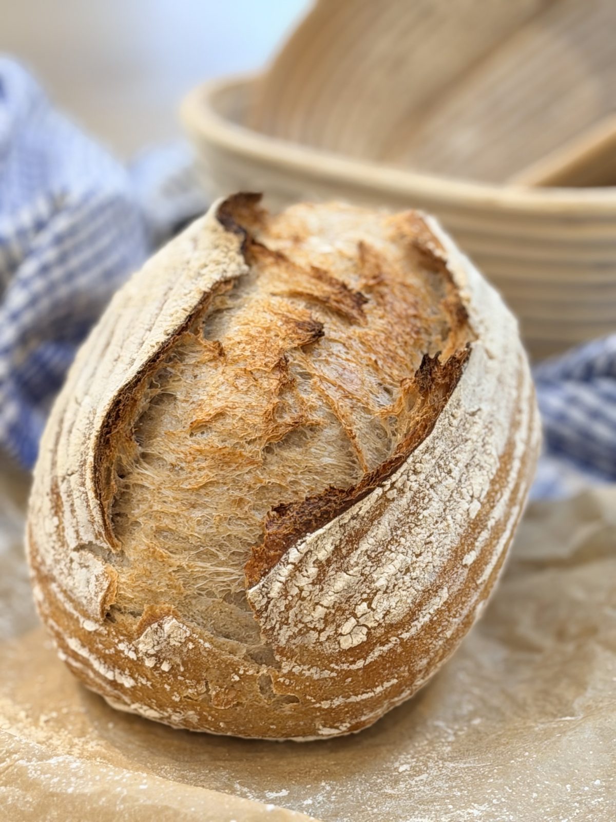 A loaf of sourdough bread, scored and baked, beside its proving basket