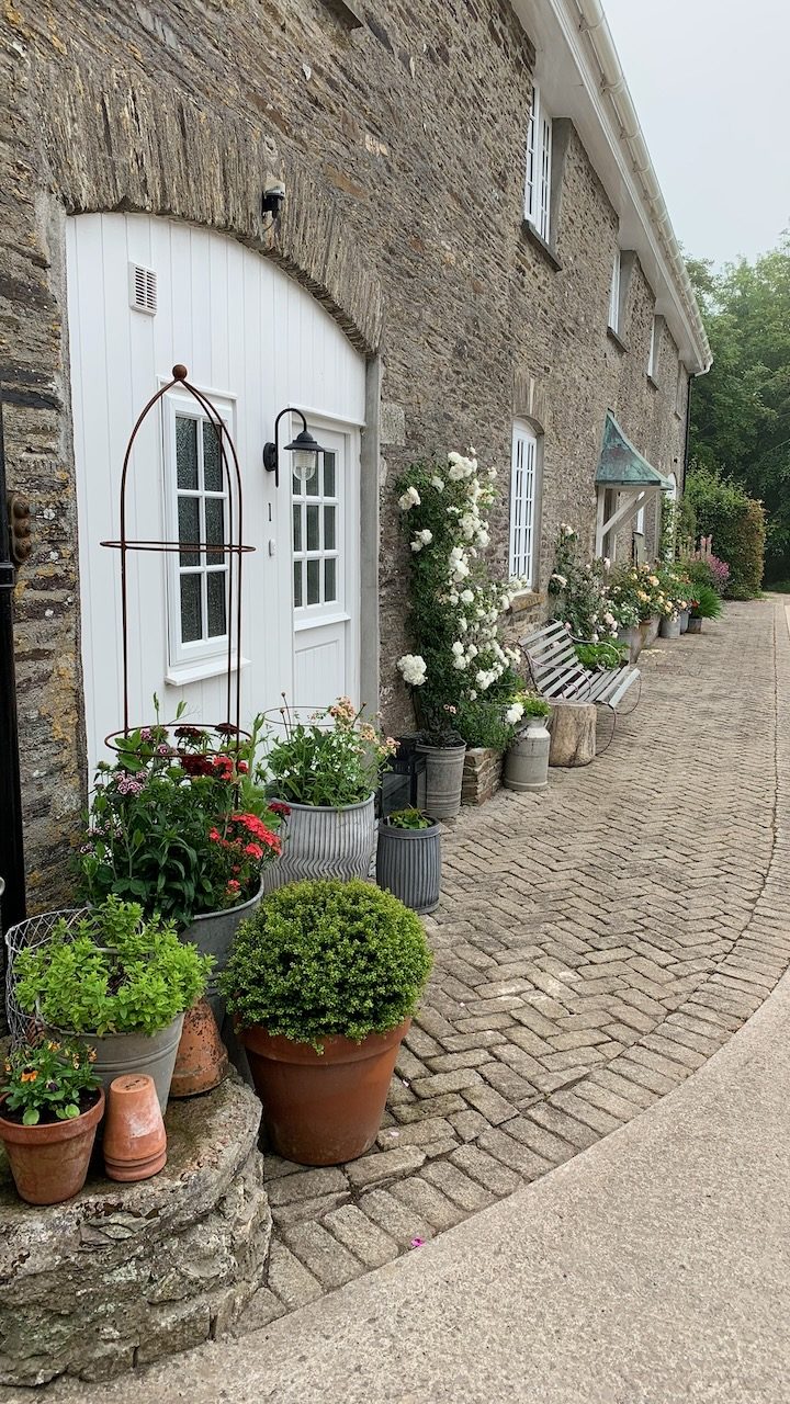 The front door, with roses and potted box beside it